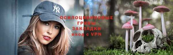 эйфоретик Арсеньев
