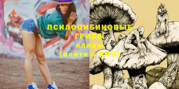 эйфоретик Арсеньев