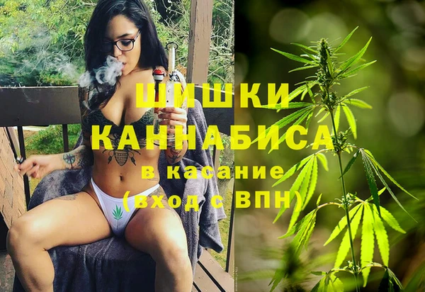 эйфоретик Арсеньев