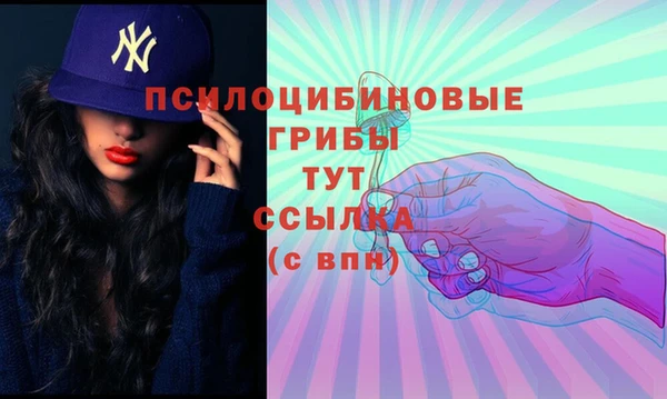 эйфоретик Арсеньев